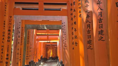 Die roten Torii-Tore