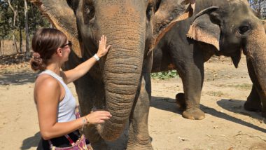 Maerim Elephant Sanctuary Elefant füttern