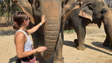 Maerim Elephant Sanctuary Elefant füttern